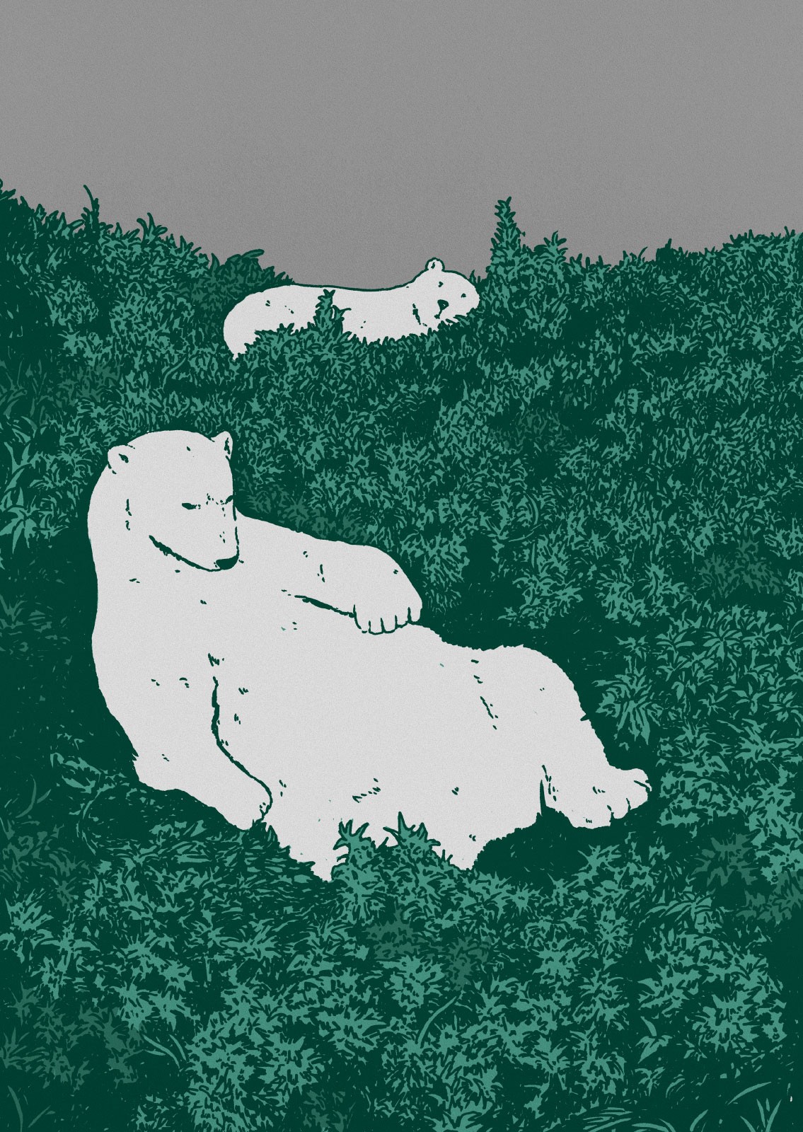 Bears