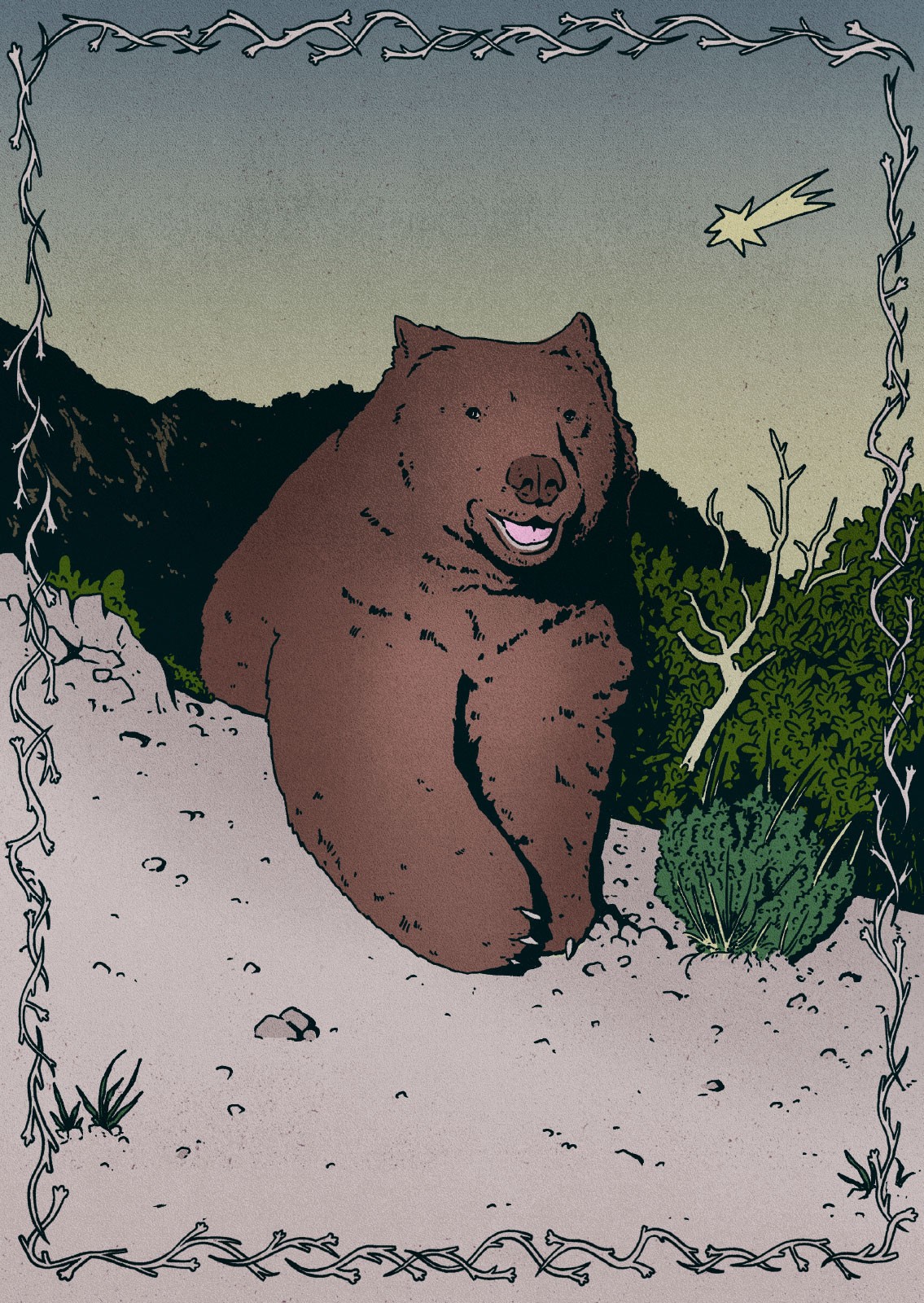 Bears